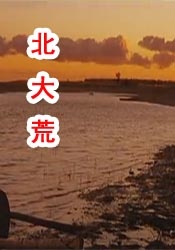 中文字幕免费 av在线